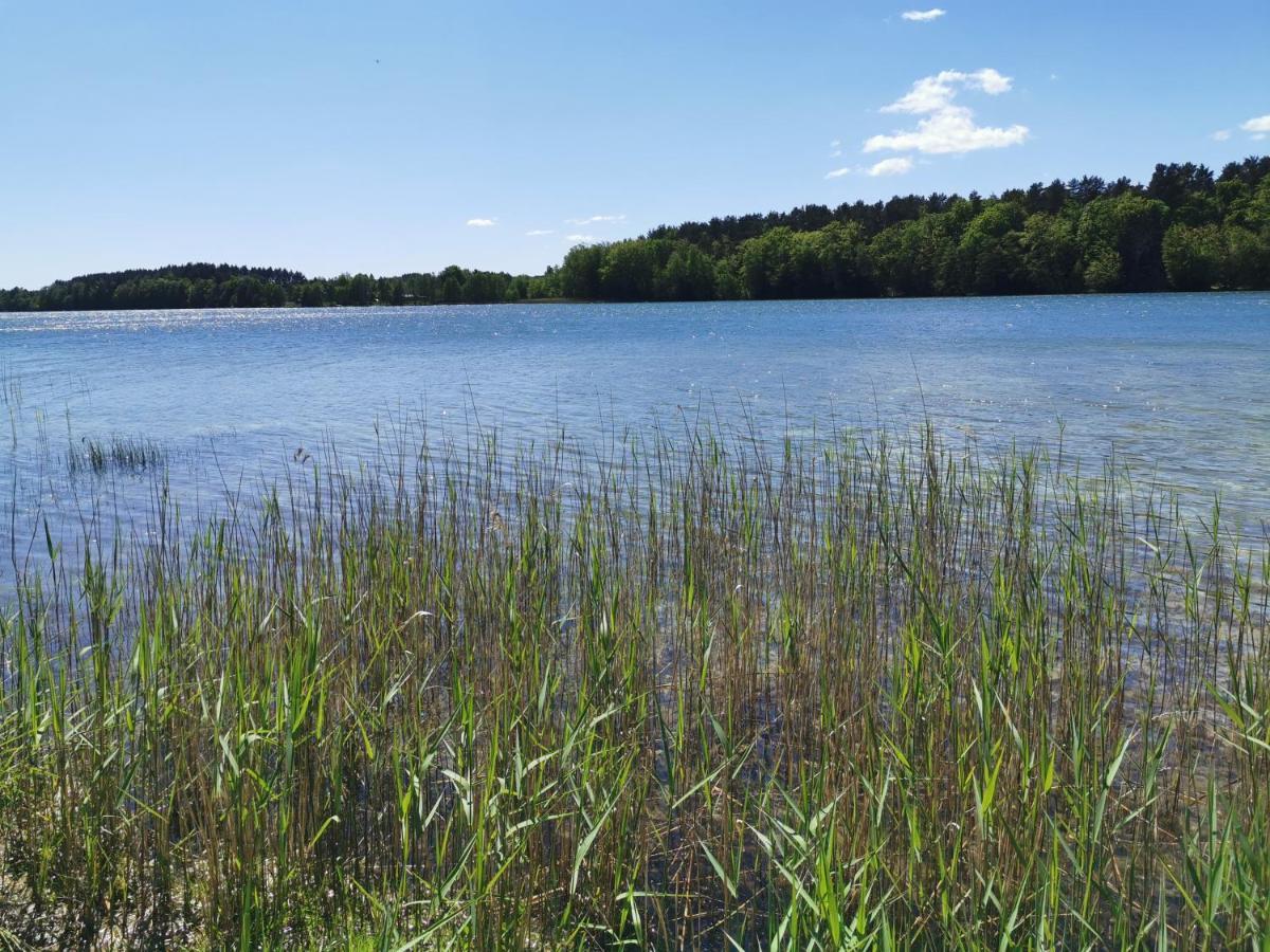 Kaszuby W Ostoja Bukowo - U Malgoski Domek 6 Z Widokiem Na Las I Internetem Villa Borowy Mlyn Esterno foto