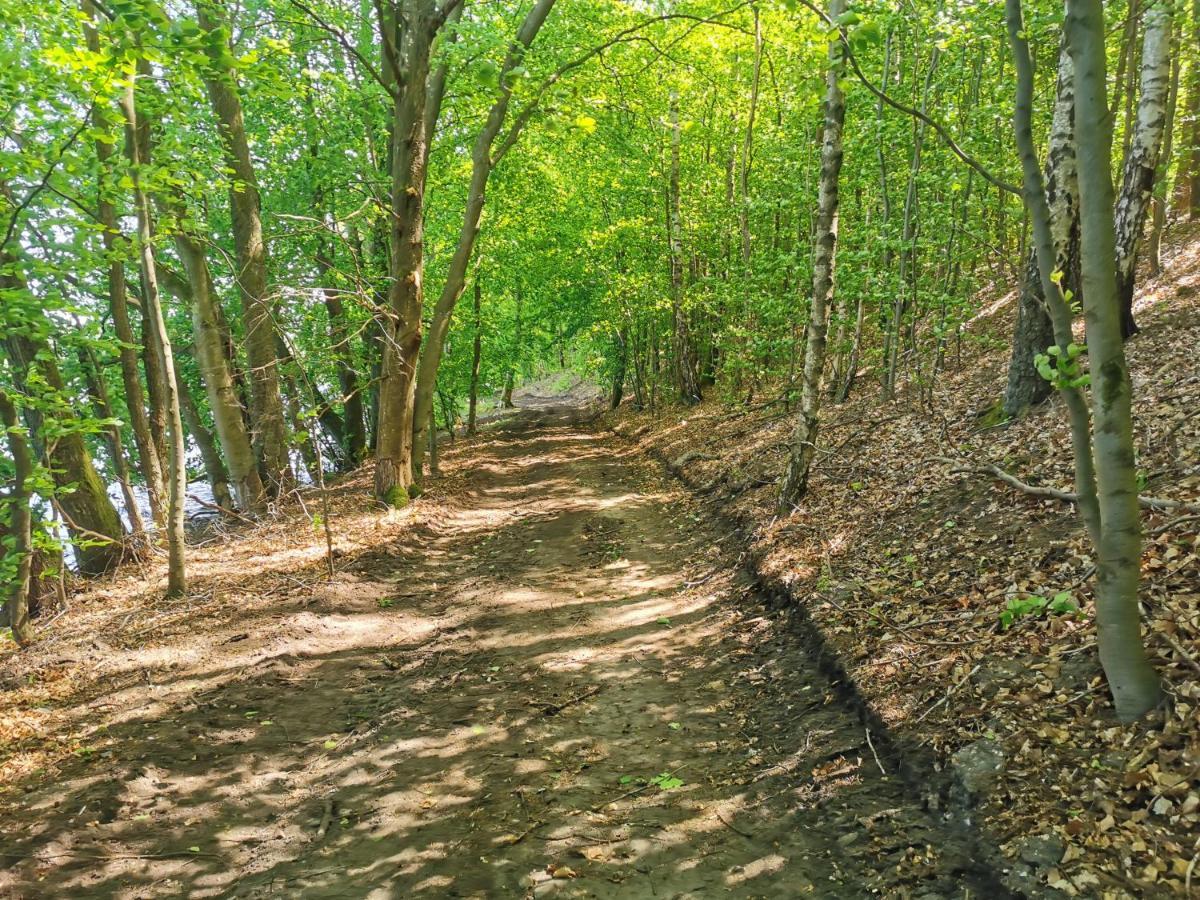 Kaszuby W Ostoja Bukowo - U Malgoski Domek 6 Z Widokiem Na Las I Internetem Villa Borowy Mlyn Esterno foto