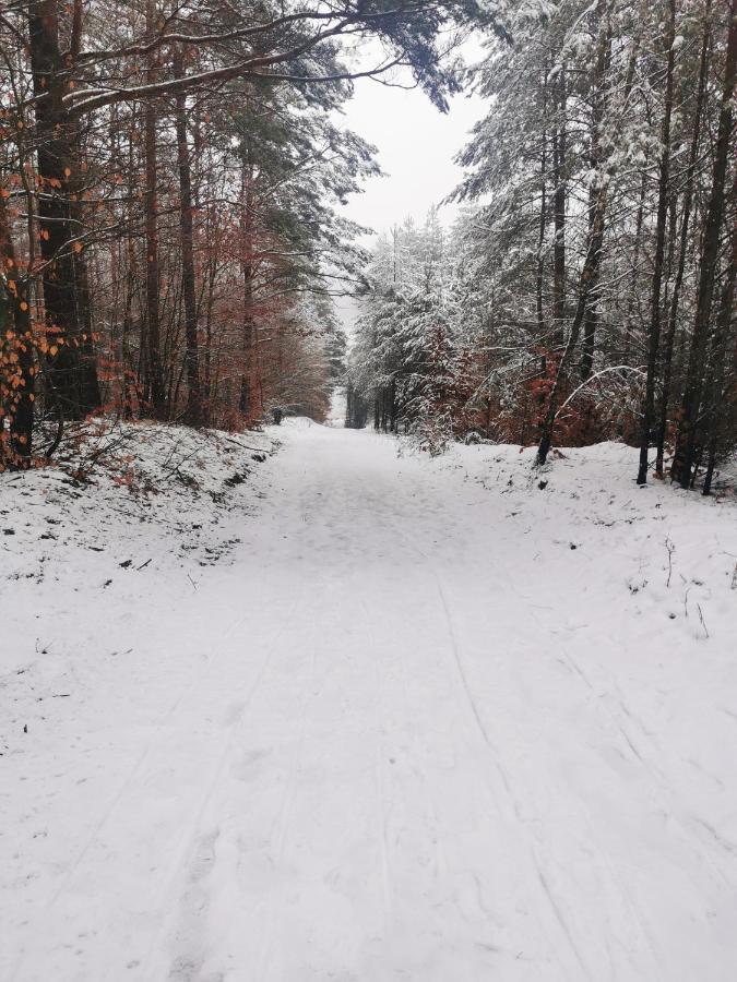 Kaszuby W Ostoja Bukowo - U Malgoski Domek 6 Z Widokiem Na Las I Internetem Villa Borowy Mlyn Esterno foto