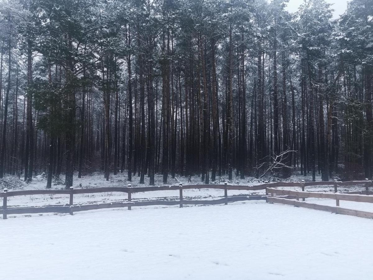 Kaszuby W Ostoja Bukowo - U Malgoski Domek 6 Z Widokiem Na Las I Internetem Villa Borowy Mlyn Esterno foto