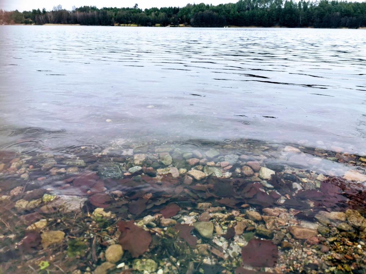 Kaszuby W Ostoja Bukowo - U Malgoski Domek 6 Z Widokiem Na Las I Internetem Villa Borowy Mlyn Esterno foto