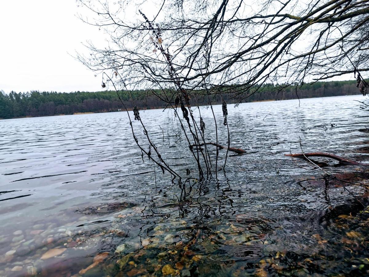 Kaszuby W Ostoja Bukowo - U Malgoski Domek 6 Z Widokiem Na Las I Internetem Villa Borowy Mlyn Esterno foto