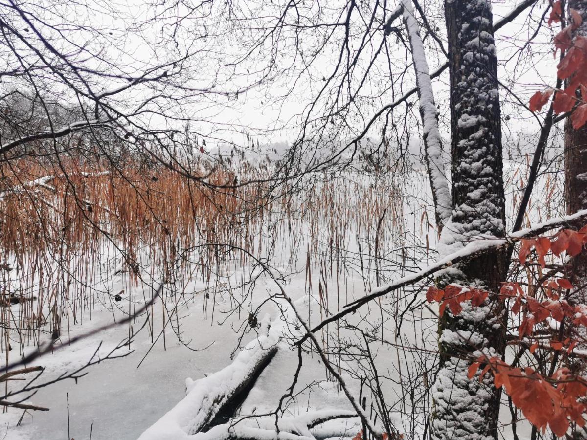 Kaszuby W Ostoja Bukowo - U Malgoski Domek 6 Z Widokiem Na Las I Internetem Villa Borowy Mlyn Esterno foto