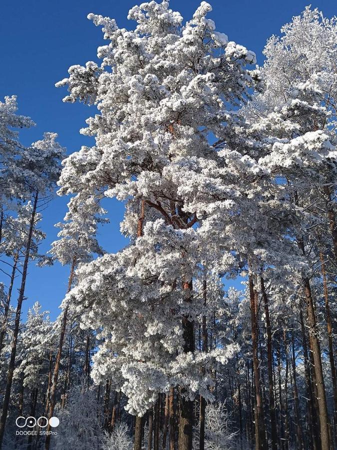 Kaszuby W Ostoja Bukowo - U Malgoski Domek 6 Z Widokiem Na Las I Internetem Villa Borowy Mlyn Esterno foto