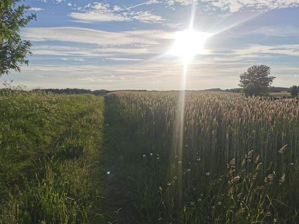 Kaszuby W Ostoja Bukowo - U Malgoski Domek 6 Z Widokiem Na Las I Internetem Villa Borowy Mlyn Esterno foto